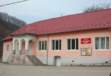 Școala Dolina